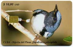 etecsa calling card front