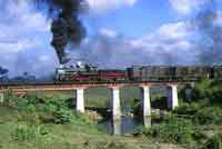 Minaz Steam Train