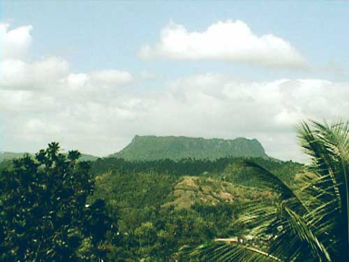 eljunque