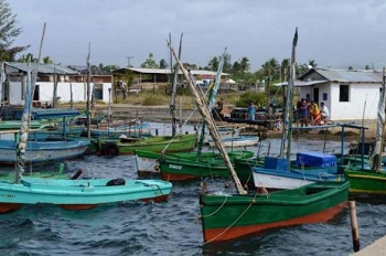 Barcos awaiting pescadores. 