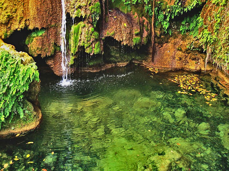 Parque / Cascada El Nicho © partwish, picasa.com