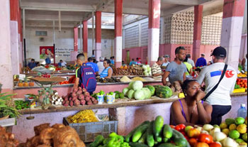 Mercado Municipal