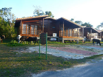 Les « Villas Cabo San Antonio » ouvertes en 2006 n'empêchent pas les vaches de brouter © j@b travels, flickr.com 