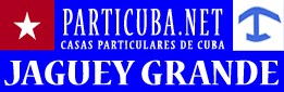 Logo Playa larga