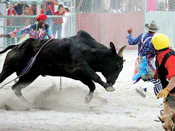 Rodeo, Parque Lenin © Rob O'Neal, trekEarth.com