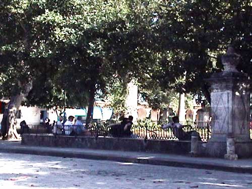 habvie_04parcsombre