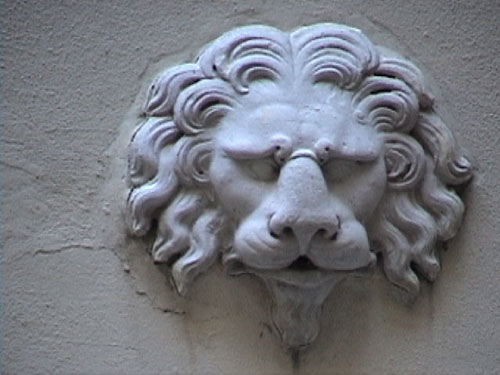 habvie_16baignetete_lion