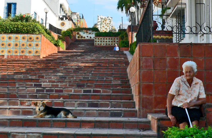 This guard dog is never far from his master, a kind abuela living on Caridad street