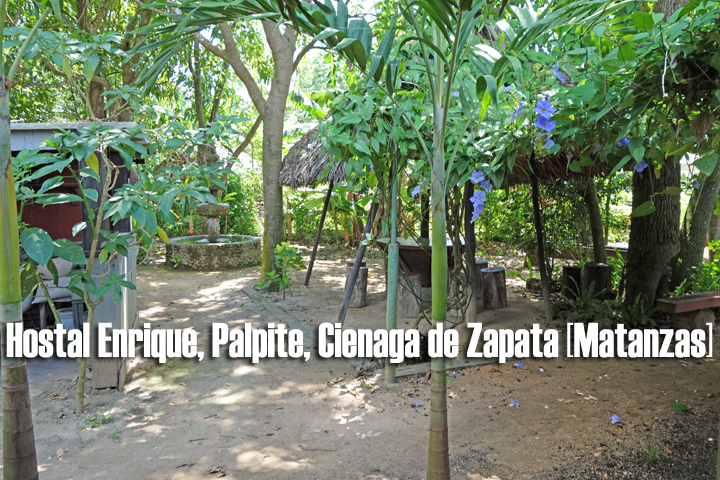 HOSTAL ENRIQUE | particuba.net | Cienaga de Zapata 