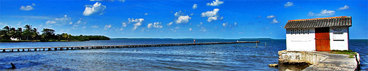 Barcas at the fishing port © sogestour