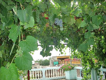HOSTAL LA FAMILIA ::: particuba.net •|• Trinidad :