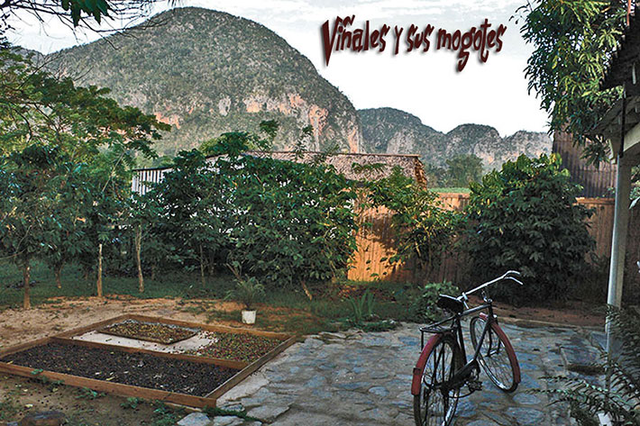 EL CAFETAL | cubacasas.net | Viñales