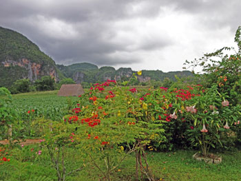 MILEYDIS FEITO | cubacasas.net | Viñales