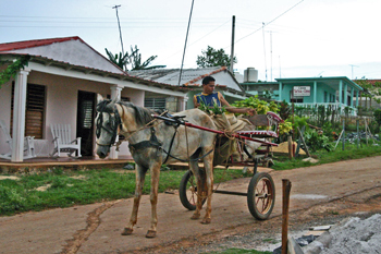 Tatica y El Chino | cubacasas.net | Viñales