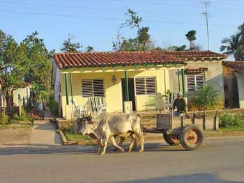 VILLA CRISTAL | cubacasas.net | Viñales