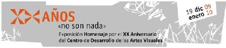 XX Aniversario Centro desarrollo Artes Visuales