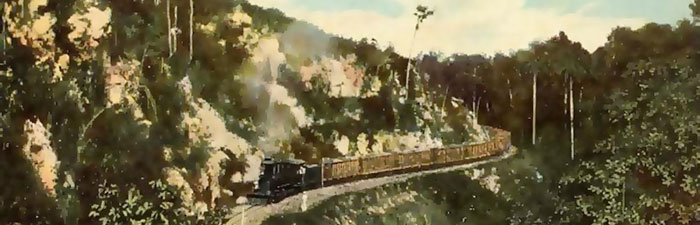Train chargé de canne - Yaguajay 1910