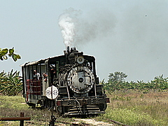 Tour en locomotora de vapor (train  vapeur)